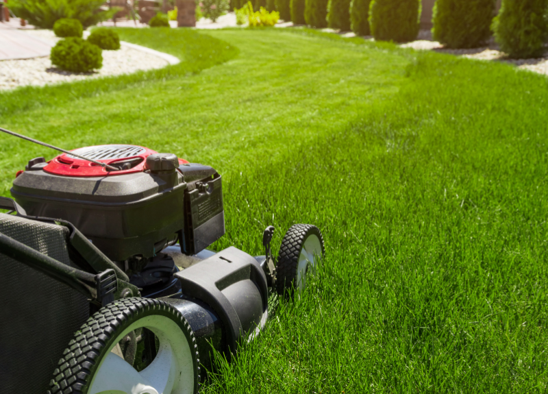 The Best Honda Lawn Mowers